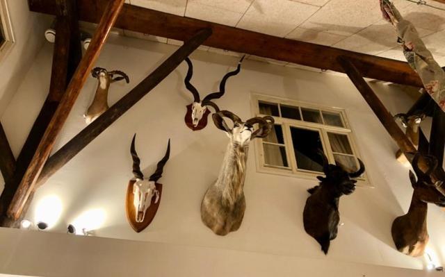 The Black Horse B&B & More Drachten Dış mekan fotoğraf